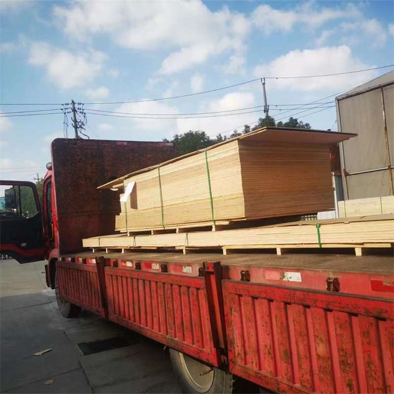 信阳到河北物流公司——一站式服务，让货运更便捷